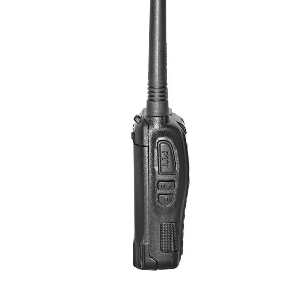 BF-B5 - Image 2